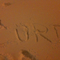warmed up w/ laksa curry & wine (tip ur delivery person well pls!) let Dixie run in the snow & wrote my name in it 