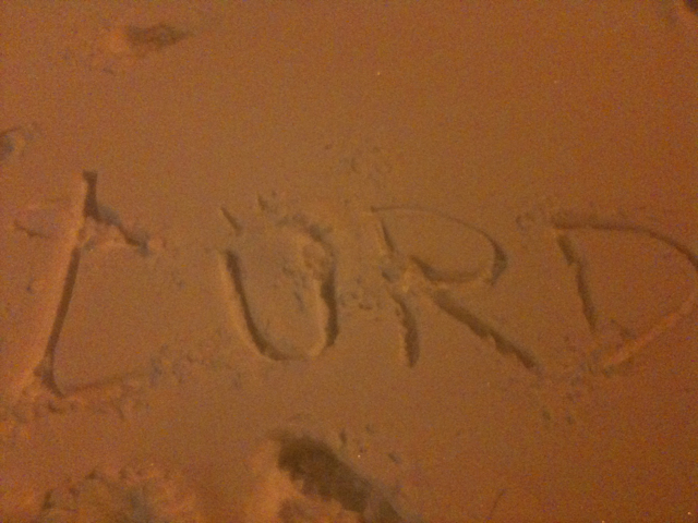 warmed up w/ laksa curry &amp; wine (tip ur delivery person well pls!) let Dixie run in the snow &amp; wrote my name in it 