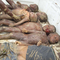 On Angels Wings, Children of Haiti---Donate NOW!!!